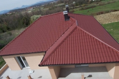 imageedit_117_2103940445