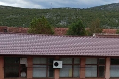 imageedit_53_8361842438